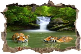fototapeta-dziura-3d-naklejka-na-sciane-tygrysy