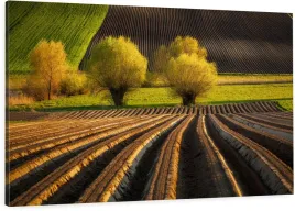obraz-na-plotnie-120x80-unikatowe-zdjecia-do-salonu-swietokrzyskie-pola