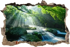 fototapeta-dziura-3d-naklejka-scianna-potok-w-lesie-slonce-las