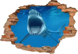 fototapeta-3d-samoprzylepna-naklejka-3d-rekin-322