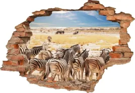 fototapeta-3d-samoprzylepna-naklejka-3d-zebry-9