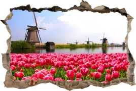 fototapeta-dziura-3d-naklejka-na-sciane-tulipany