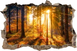 fototapeta-dziura-3d-naklejka-na-sciane-zachod-las
