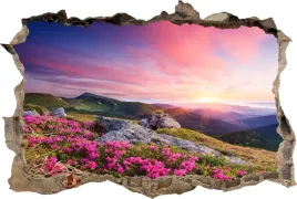 fototapeta-dziura-3d-naklejka-scienna-gory-kwiaty