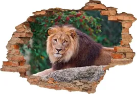 fototapeta-3d-samoprzylepna-naklejka-na-sciane-dziura-krol-lew
