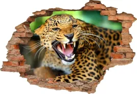 fototapeta-3d-samoprzylepna-naklejka-dekoracyjna-dziura-w-scianie-gepard