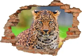 fototapeta-3d-samoprzylepna-naklejka-3d-gepard-366