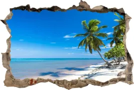 naklejki-na-sciane-fototapeta-3d-dziura-plaza