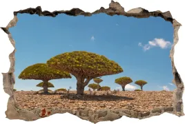 fototapeta-dziura-3d-naklejka-na-sciane-drzewa