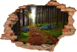 fototapeta-3d-samoprzylepna-naklejka-dekoracyjna-drzewa-natura-las-droga