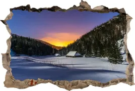 fototapeta-dziura-3d-naklejka-na-sciane-zima-chata