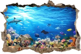 fototapeta-dziura-3d-naklejka-na-sciane-rafa-morze