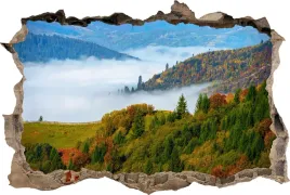 fototapeta-dziura-3d-naklejka-na-sciane-las-mgla