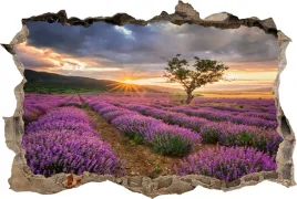 fototapeta-dziura-3d-naklejka-lawenda-pole-zachod