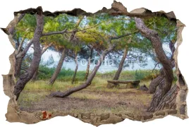 naklejki-na-sciane-fototapeta-3d-dziura-drzewa