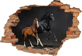 fototapeta-3d-samoprzylepna-naklejka-scienna-dekoracyjna-konie-kon-czarny