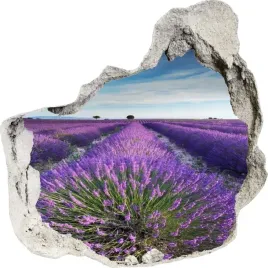 naklejki-na-sciane-scienne-3d-dziura-pole-633