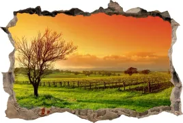 fototapeta-dziura-3d-naklejka-scienna-drzewo-pole
