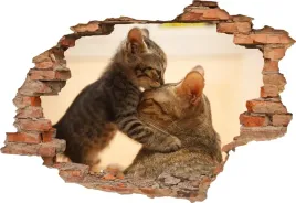fototapeta-3d-samoprzylepna-naklejka-3d-kotki-316