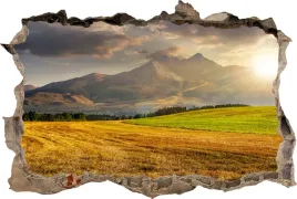 fototapeta-dziura-3d-naklejka-scienna-polana-gory