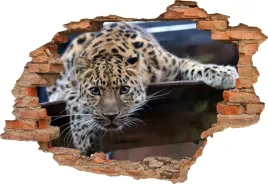 fototapeta-3d-samoprzylepna-naklejka-3d-gepard-375