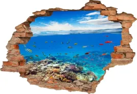 fototapeta-3d-samoprzylepna-naklejka-dziura-w-scianie-podwodny-swiat-rafa