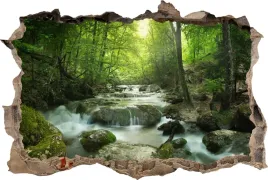 fototapeta-dziura-3d-naklejka-dekoracyjna-na-sciane-potok-las-natura