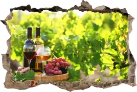 fototapeta-dziura-3d-naklejka-scienna-wino-winnica