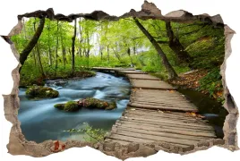 fototapeta-dziura-3d-naklejka-kladka-potok-las