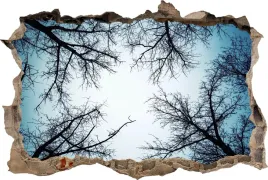 fototapeta-dziura-3d-naklejka-scienna-drzewa-niebo