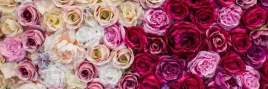 samoprzylepna-fototapeta-do-kuchni-roze-kwiaty