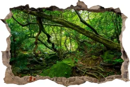 naklejki-na-sciane-fototapeta-3d-dziura-las
