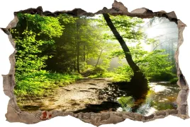 fototapeta-dziura-3d-naklejka-na-sciane-potok-las