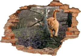 fototapeta-3d-samoprzylepna-naklejka-3d-kot-381