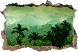 naklejki-na-sciane-fototapeta-3d-dziura-dzungla