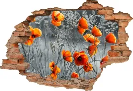 fototapeta-3d-samoprzylepna-naklejka-dziura-w-scianie-czerwone-maki