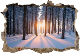 naklejki-na-sciane-fototapeta-3d-dziura-zimowy-las