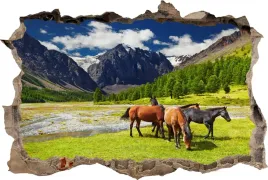 fototapeta-dziura-3d-naklejka-konie-polana-gory
