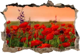 fototapeta-dziura-3d-naklejka-na-sciane-maki-pole