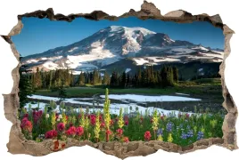 fototapeta-dziura-3d-naklejka-scienna-gora-kwiaty