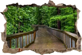 fototapeta-dziura-3d-naklejka-na-sciane-most-las