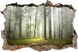 fototapeta-dziura-3d-naklejka-na-sciane-las-drzewa