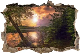 fototapeta-dziura-3d-naklejka-na-sciane-las-woda