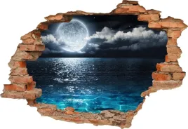 fototapeta-3d-samoprzylepna-naklejka-scienna-3d-ksiezyc-pelnia-ocean-160cm