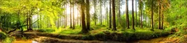 samoprzylepna-fototapeta-do-kuchni-drzewa-las