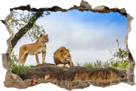 naklejki-na-sciane-fototapeta-3d-dziura-lwy