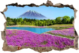 naklejki-na-sciane-fototapeta-3d-dziura-wulkan