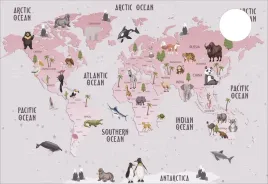mata-ochronna-na-biurko-micke-73x50-mapa-swiata