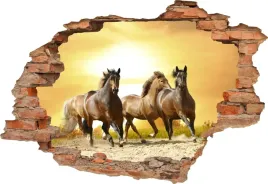 fototapeta-3d-samoprzylepna-naklejka-na-sciane-konie-zachod-slonca