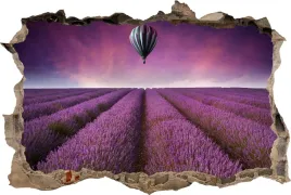 naklejki-na-sciane-fototapeta-3d-dziura-balon